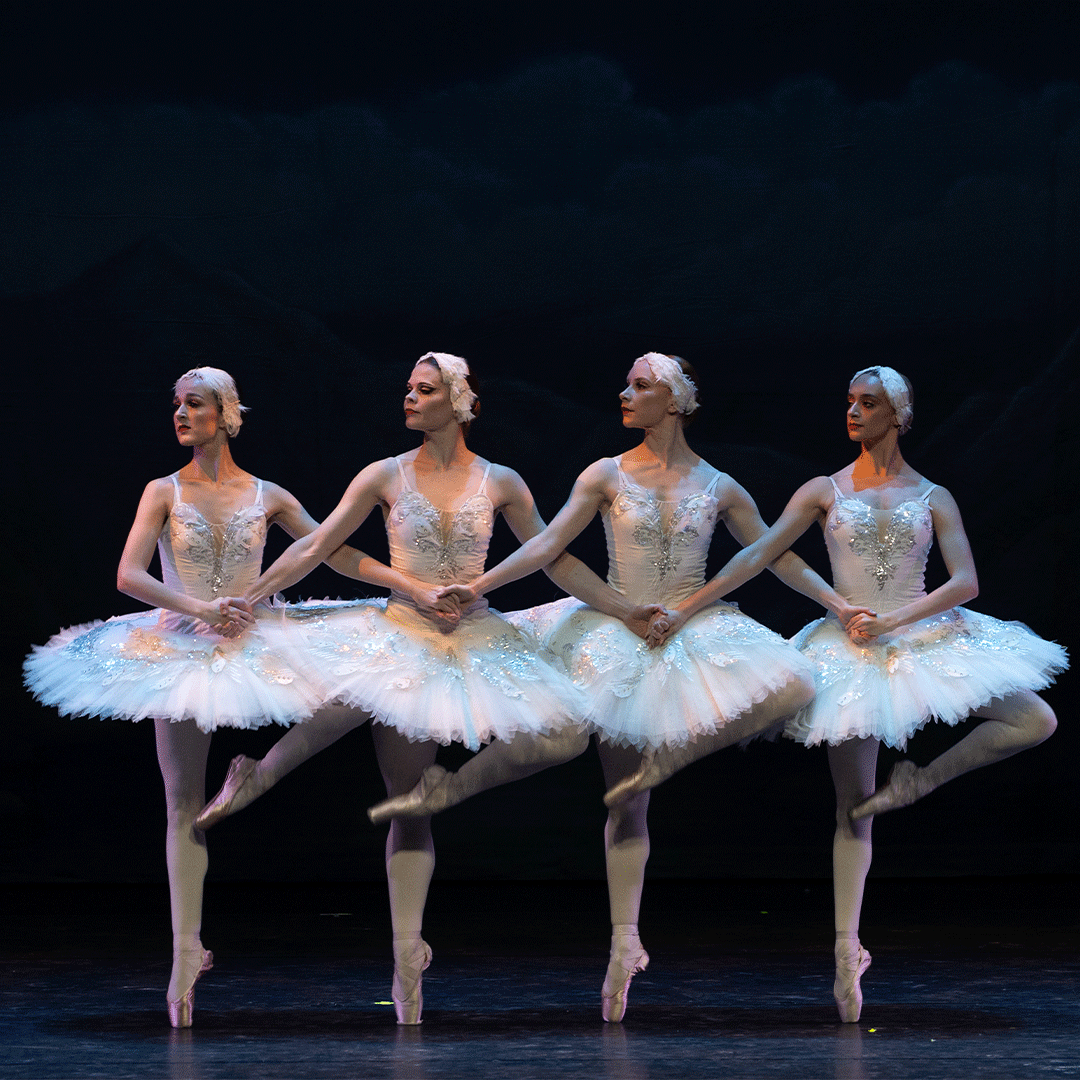 Swan Lake at the Shoalhaven Entertainment Centre